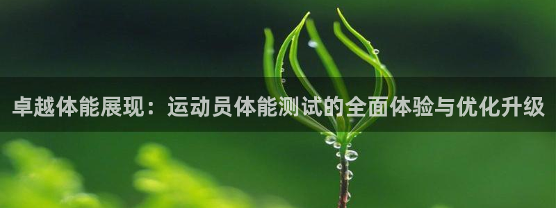 球客岛：卓越体能展现：运动员体能测试的全面体验与优化升级