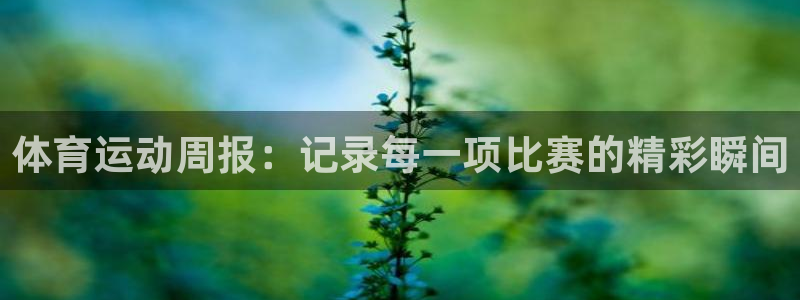 球客岛：体育运动周报：记录每一项比赛的精彩瞬间