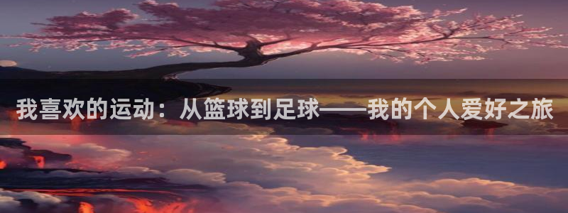 球客岛：我喜欢的运动：从篮球到足球——我的个人爱好之旅