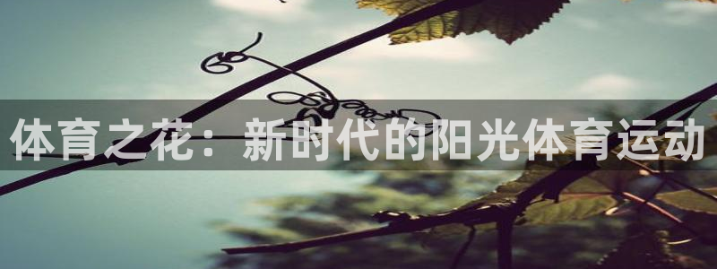 球客岛：体育之花：新时代的阳光体育运动