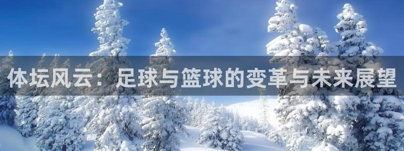 球客岛：体坛风云：足球与篮球的变革与未来展望