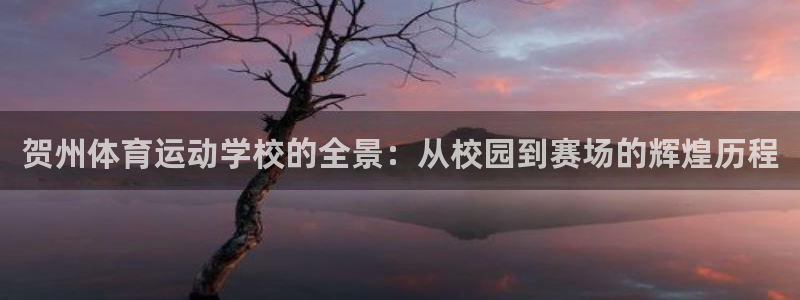 球客岛：贺州体育运动学校的全景：从校园到赛场的辉煌历程