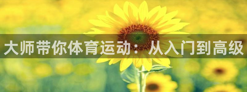 球客岛：大师带你体育运动：从入门到高级